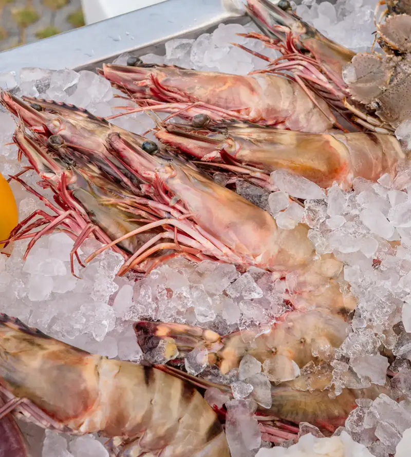 Fresh local Samui seafood on ice